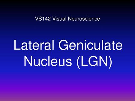 VS142 Visual Neuroscience