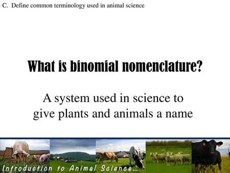 What is binomial nomenclature?