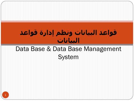 قاعدة البيانات Database