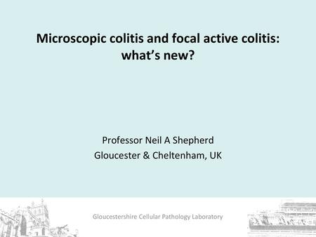 Microscopic colitis and focal active colitis: what’s new?