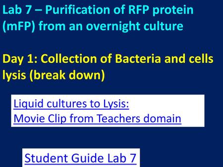 Lab 7 – Purification of RFP protein (mFP) from an overnight culture