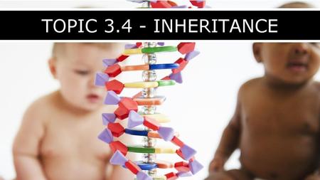 TOPIC 3.4 - INHERITANCE.