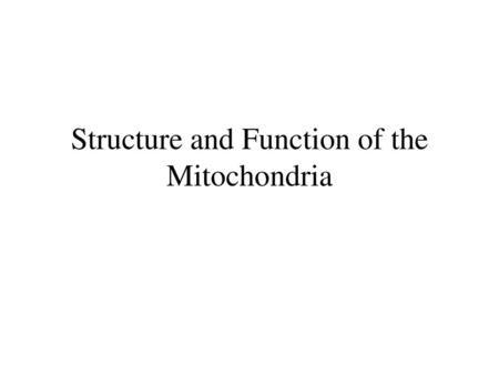 Structure and Function of the Mitochondria