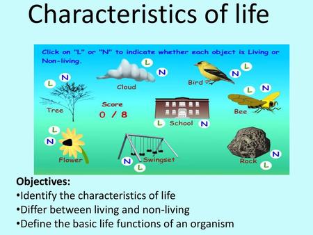 Characteristics of life