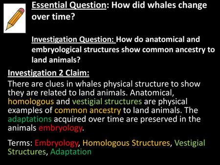 Essential Question: How did whales change over time