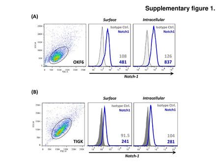 Supplementary figure 1. (A) (B) OKF TIGK 104