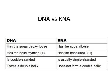 DNA vs RNA.