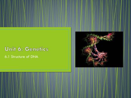 Unit 6: Genetics 6.1 Structure of DNA.