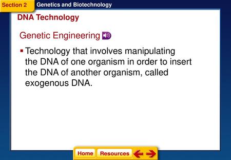 Section 2 Genetics and Biotechnology DNA Technology