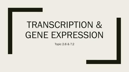 Transcription & Gene Expression