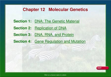 Chapter 12 Molecular Genetics