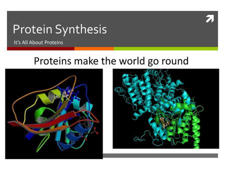 It’s All About Proteins