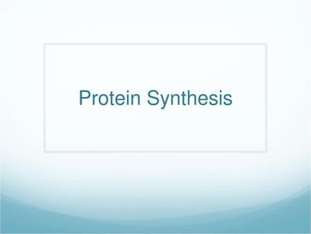 Protein Synthesis.