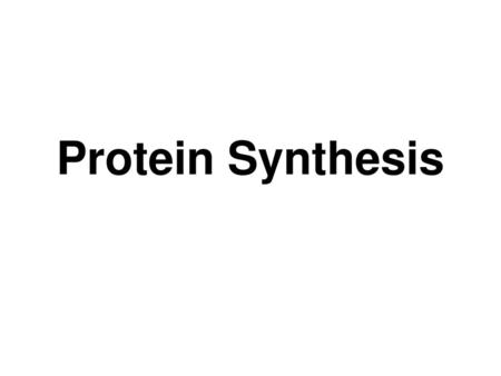 Protein Synthesis.