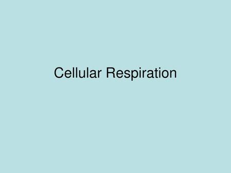 Cellular Respiration.