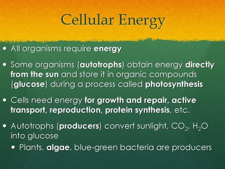 Cellular Energy All organisms require energy