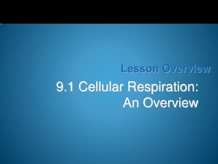 9.1 Cellular Respiration: An Overview