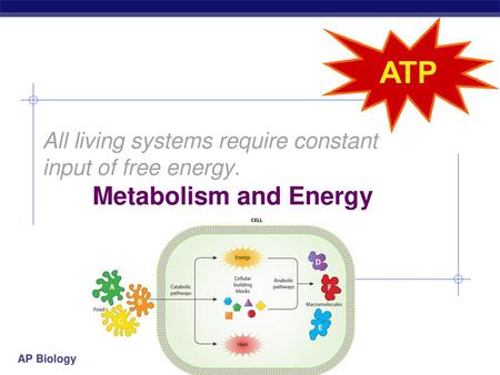 All living systems require constant input of free energy