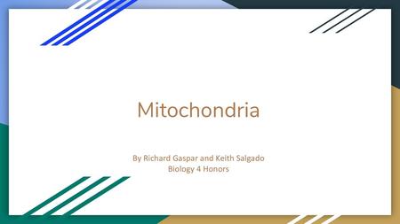 By Richard Gaspar and Keith Salgado Biology 4 Honors