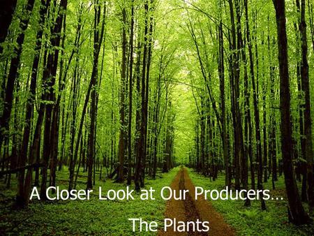 A Closer Look at Our Producers…