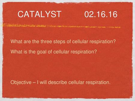 Catalyst What are the three steps of cellular respiration?