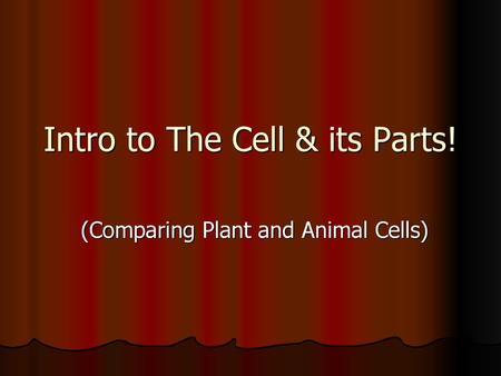 Intro to The Cell & its Parts!