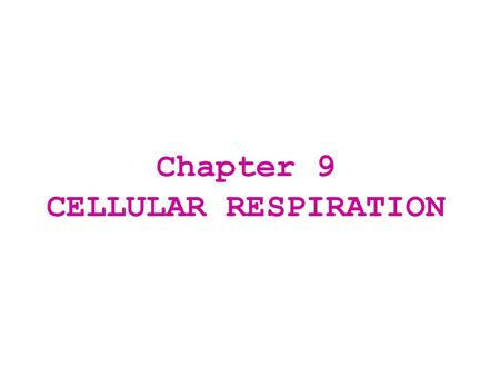 Chapter 9 CELLULAR RESPIRATION