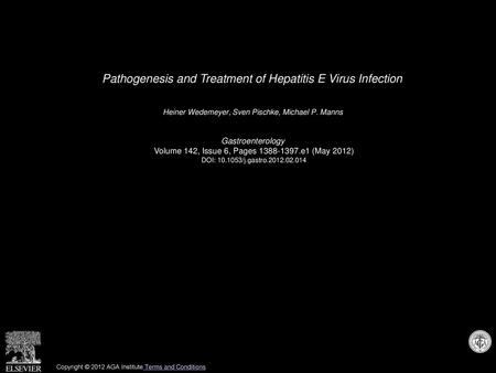 Pathogenesis and Treatment of Hepatitis E Virus Infection