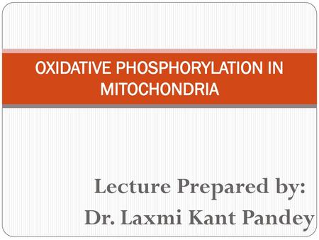 OXIDATIVE PHOSPHORYLATION IN MITOCHONDRIA