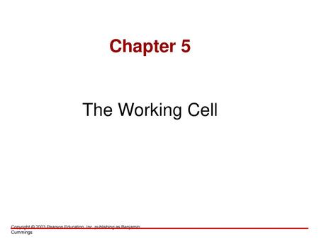 Chapter 5 The Working Cell.