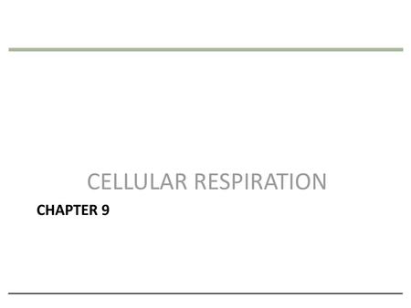 CELLULAR RESPIRATION Chapter 9.