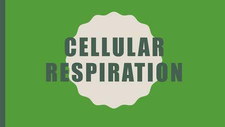 Cellular Respiration.