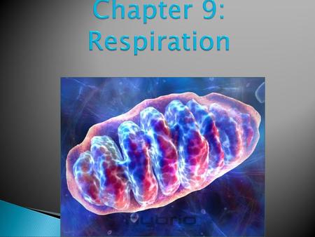 Chapter 9: Respiration.