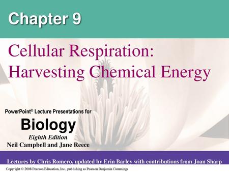 Cellular Respiration: Harvesting Chemical Energy