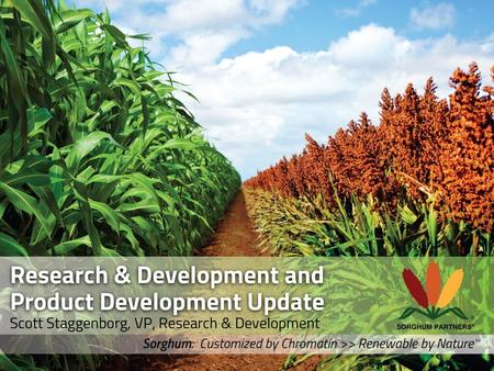 Research & Development and Product Development Update