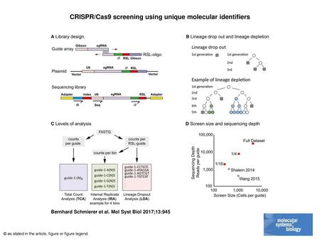 CRISPR/Cas9 screening using unique molecular identifiers