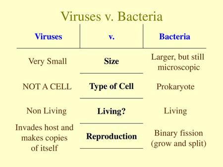 Viruses v. Bacteria Viruses v. Bacteria Size Type of Cell Living?