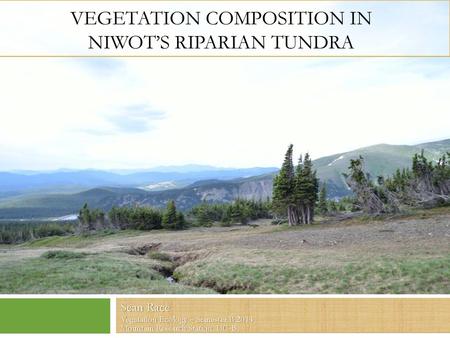 Vegetation Composition in Niwot’s Riparian Tundra