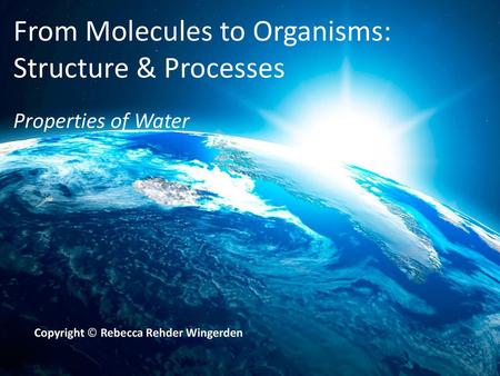 From Molecules to Organisms: Structure & Processes