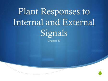 Plant Responses to Internal and External Signals