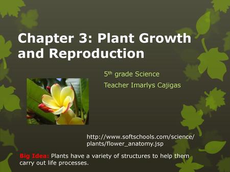 Chapter 3: Plant Growth and Reproduction