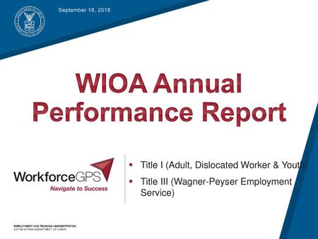 WIOA Annual Performance Report