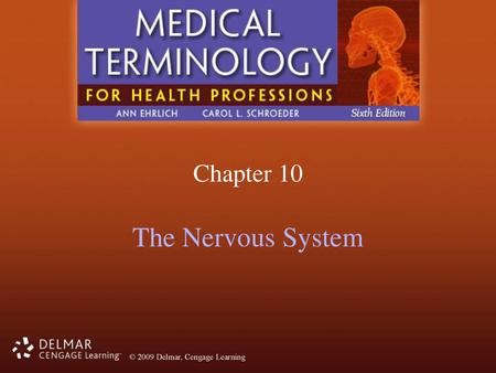 Chapter 10 The Nervous System.