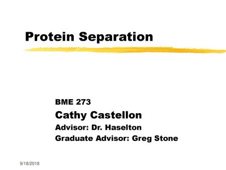 Protein Separation Cathy Castellon BME 273 Advisor: Dr. Haselton