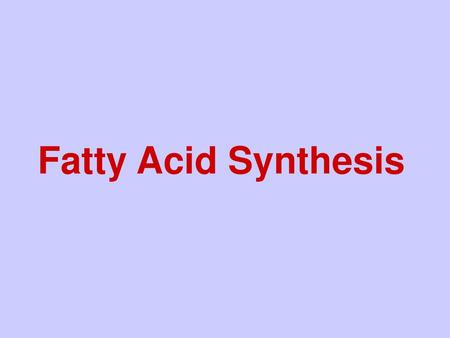 Fatty Acid Synthesis Title slide - fatty acid synthesis.