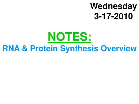 NOTES: RNA & Protein Synthesis Overview