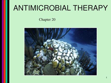 ANTIMICROBIAL THERAPY