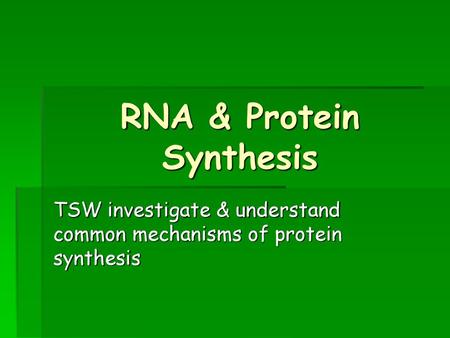 RNA & Protein Synthesis