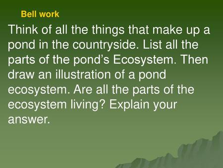 Bell work Think of all the things that make up a pond in the countryside. List all the parts of the pond’s Ecosystem. Then draw an illustration of a pond.