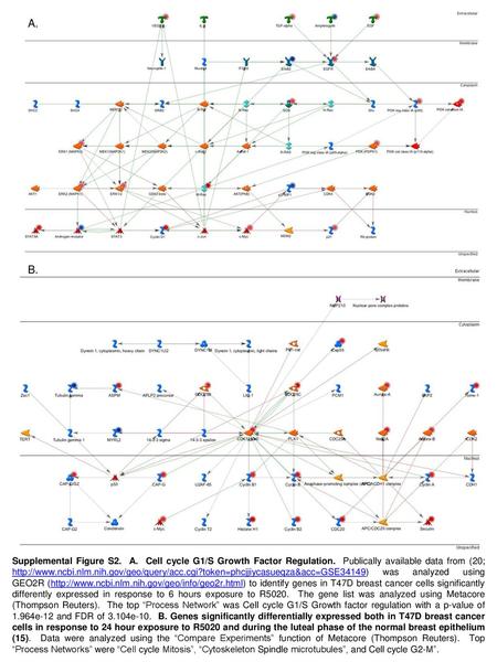 A. B. Supplemental Figure S2.  A.  Cell cycle G1/S Growth Factor Regulation.  Publically available data from (20; http://www.ncbi.nlm.nih.gov/geo/query/acc.cgi?token=phcjjiycasueqza&acc=GSE34149)